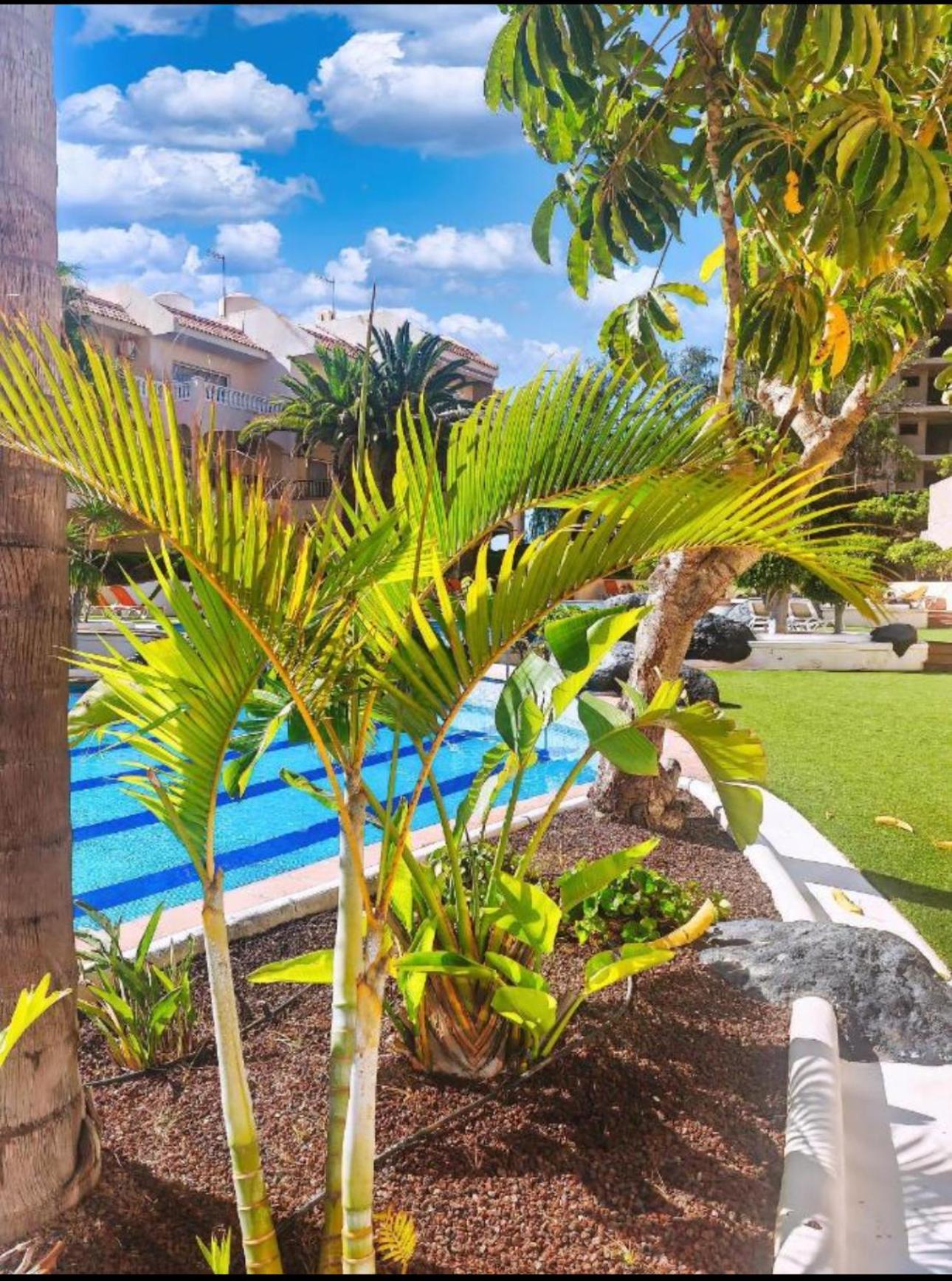 Heart And Soul Apartment San Miguel de Abona Bagian luar foto